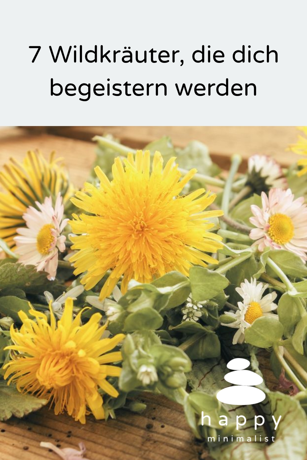 Die besten Wildkräuter für Anfänger - Entdecke die Vielfalt der Natur und lerne, wie du diese Wildpflanzen sicher erkennst und nutzen kannst.