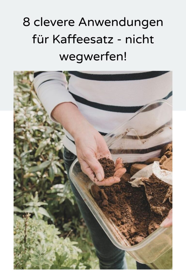 Amanda Weiss Kaffeesatz
