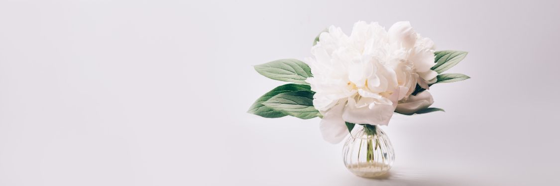 minimalistische dekoration mit weißer blume in vase