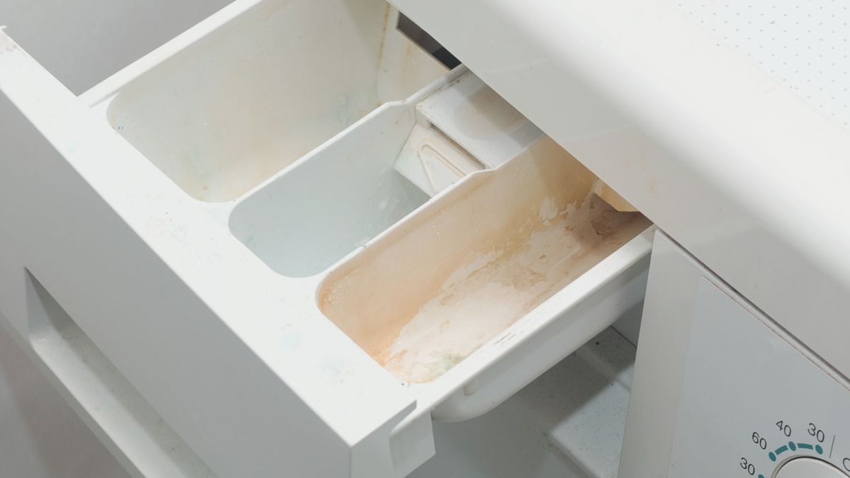 Muffige Wäsche muss nicht sein: Die Waschmaschine zu reinigen, ist sehr einfach und preiswert, verlängert die Lebensdauer der Waschmaschine und sorgt für frische, saubere Wäsche.