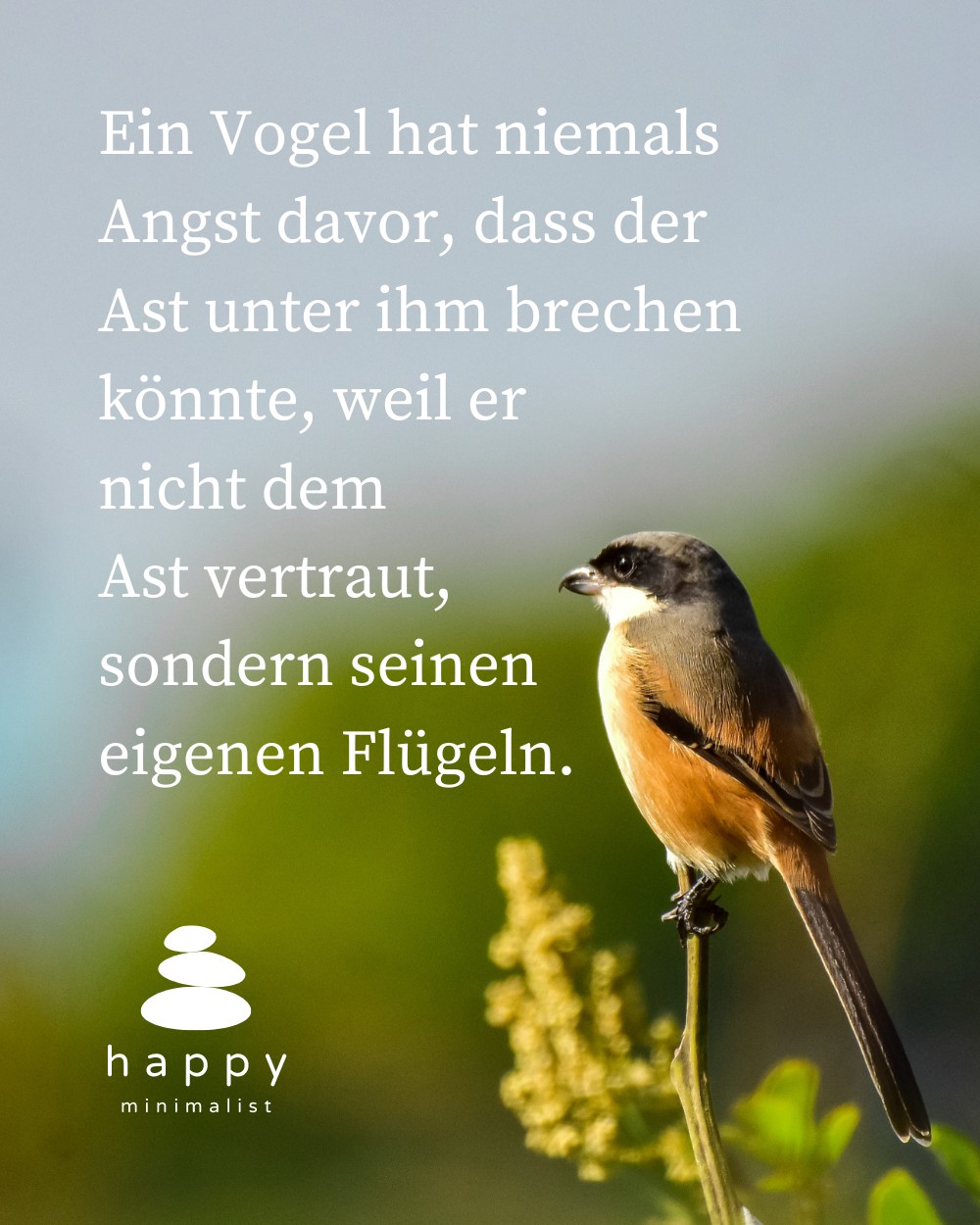 Ein Vogel Hat Niemals Angst Davor